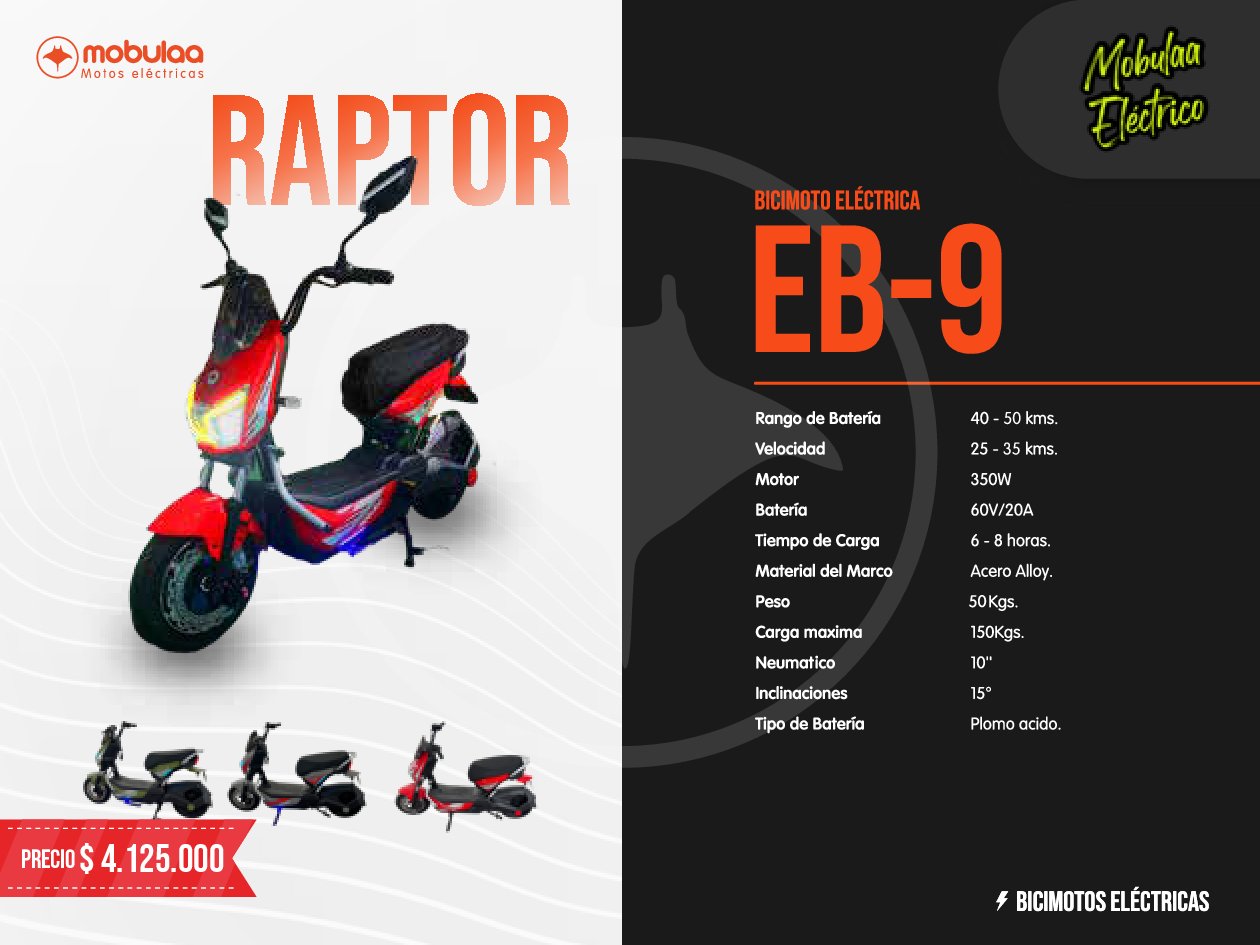 BICIMOTO ELECTRICA RAPTOR