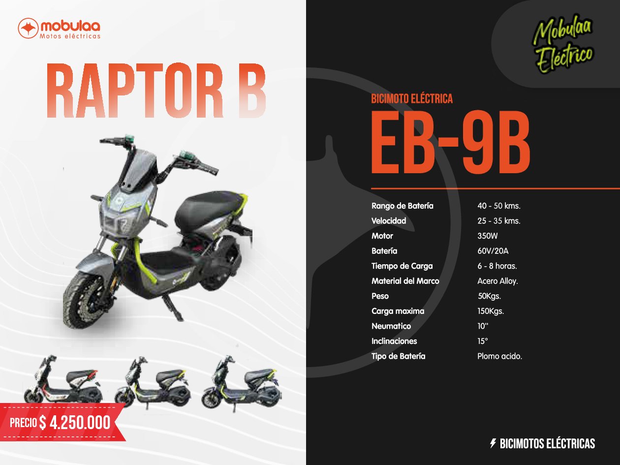 BICIMOTO ELECTRICA RAPTOR B