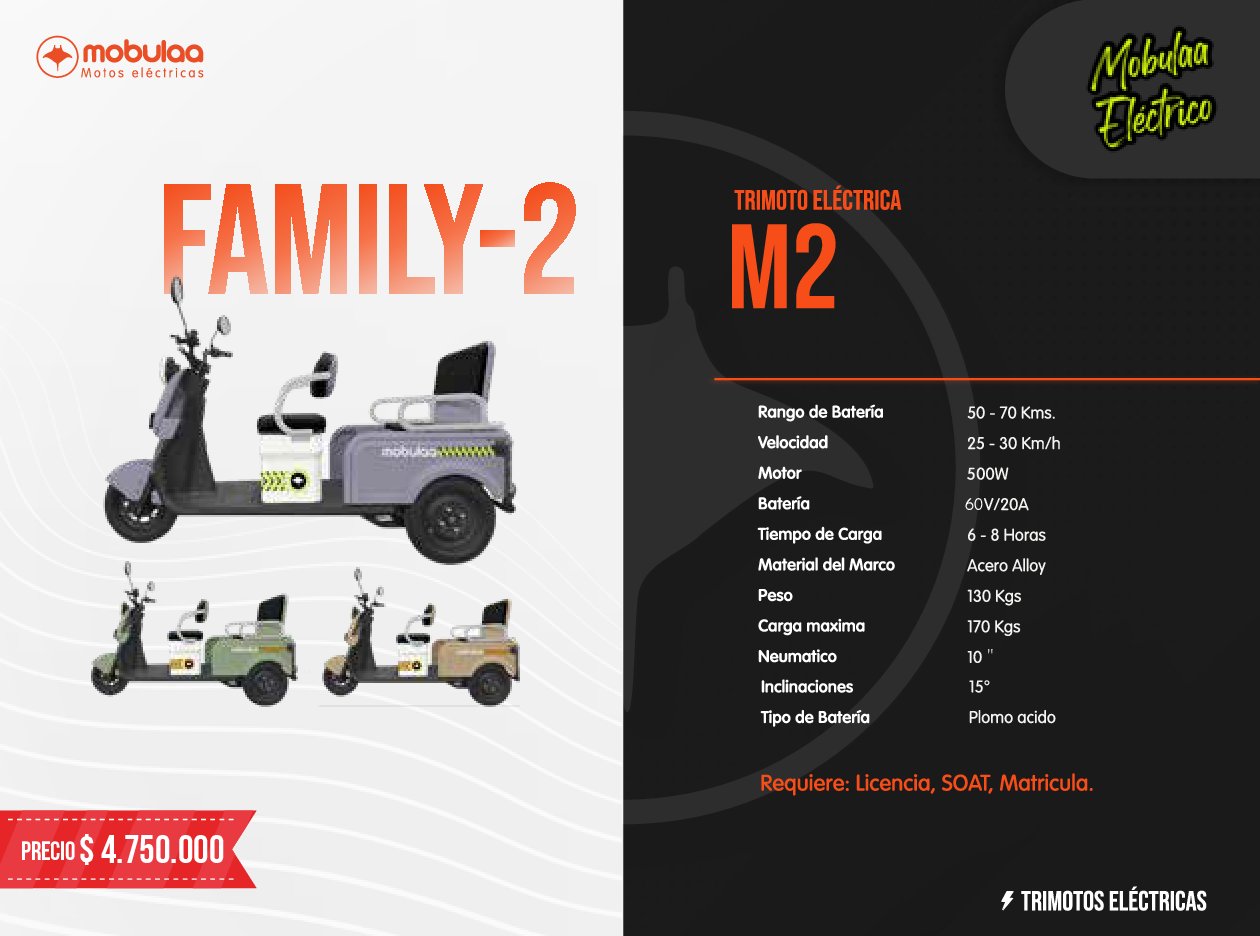 TRIMOTO ELECTRICA FAMILY-2