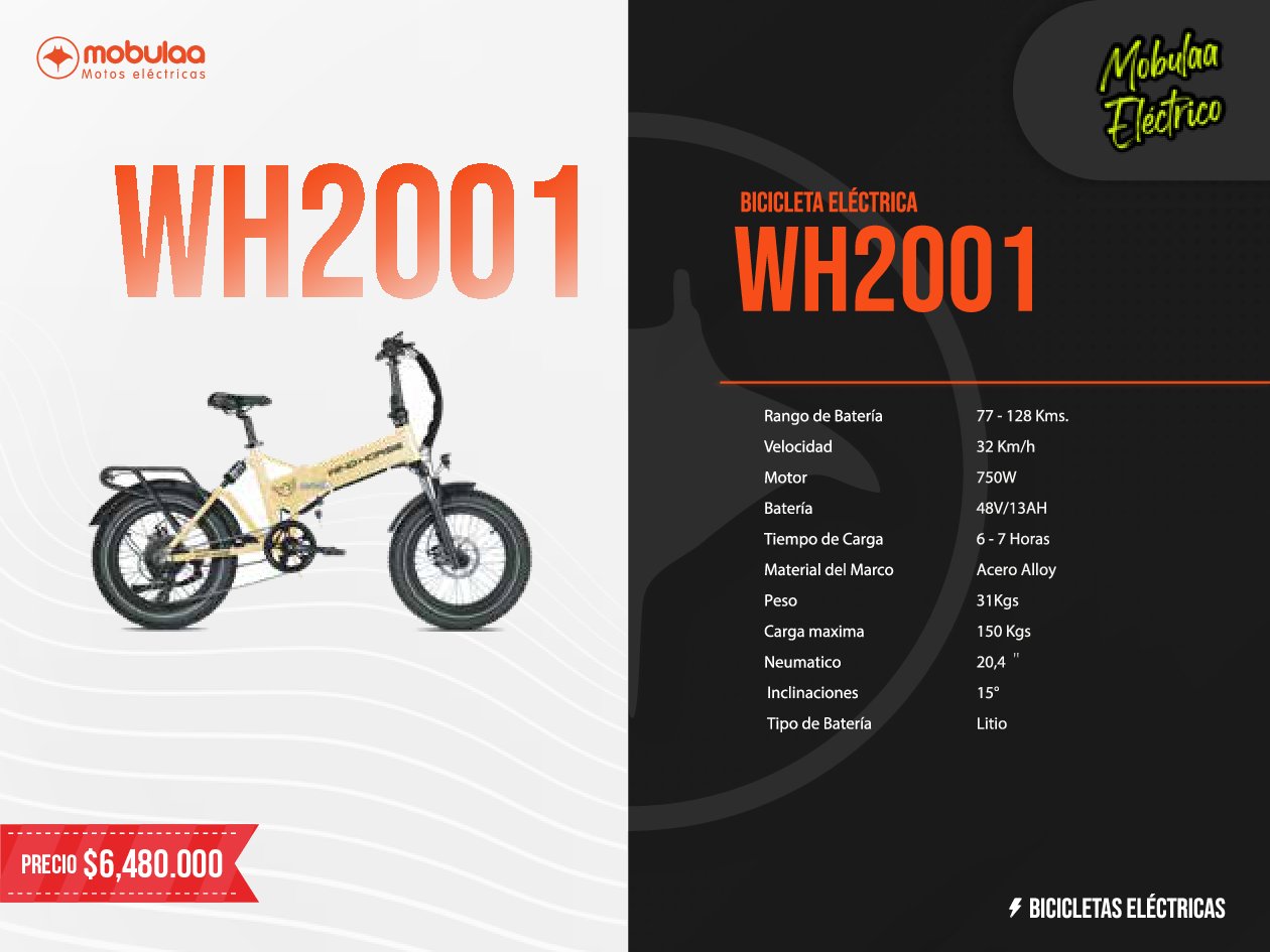BICICLETA ELECTRICA WH2001