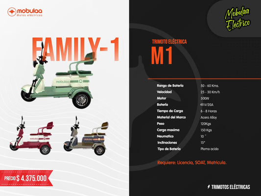TRIMOTO ELECTRICA FAMILY-1