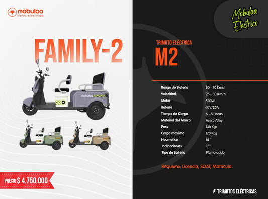 TRIMOTO ELECTRICA FAMILY-2