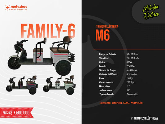 TRIMOTO ELECTRICA FAMILY-6