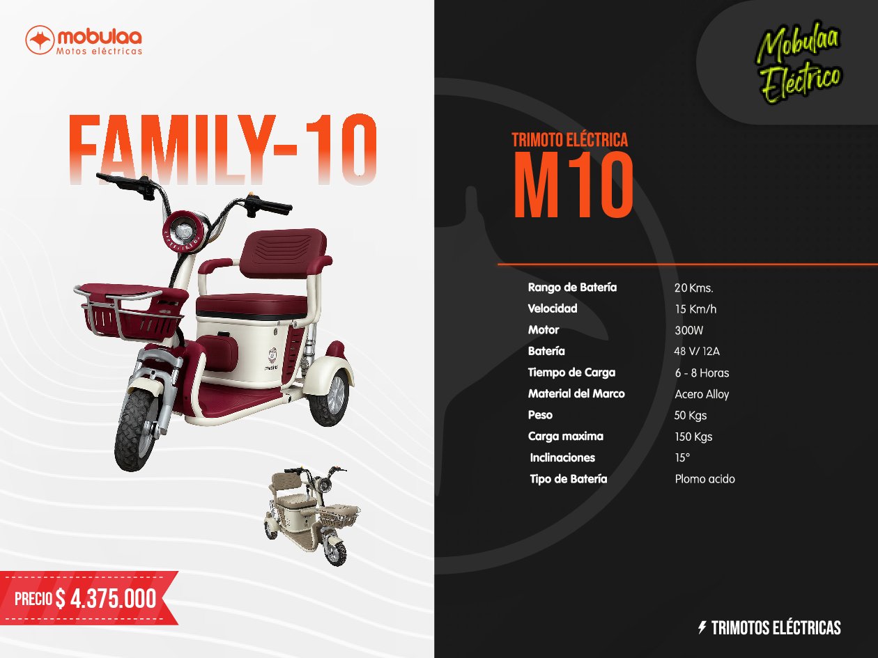TRIMOTO ELECTRICA FAMILY-10