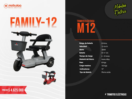 TRIMOTO ELECTRICA FAMILY-12