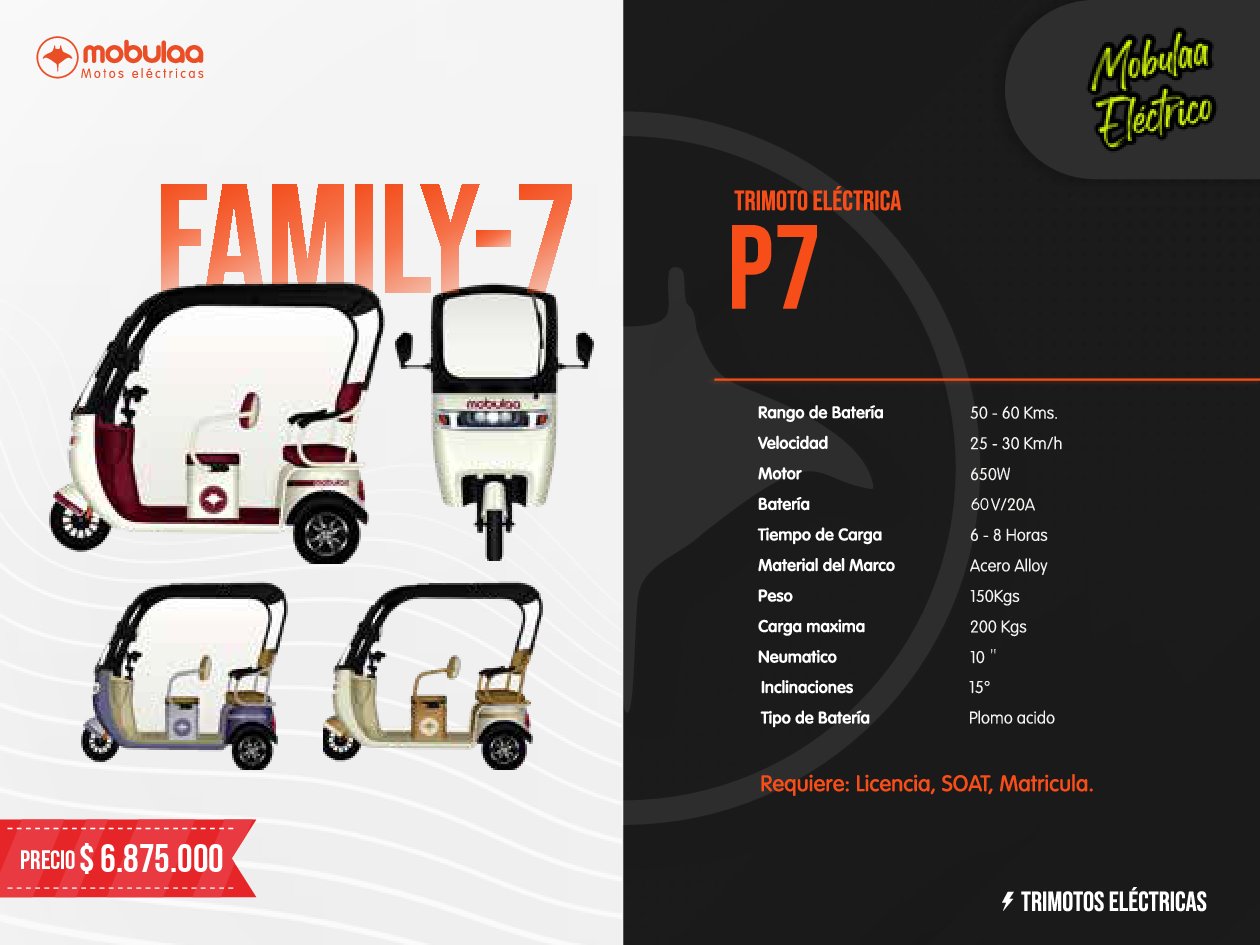 TRIMOTO ELECTRICA FAMILY-7