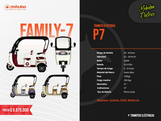 TRIMOTO ELECTRICA FAMILY-7