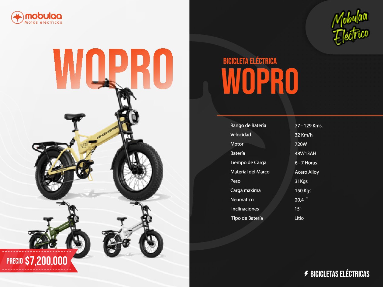 BICICLETA ELECTRICA WOPRO